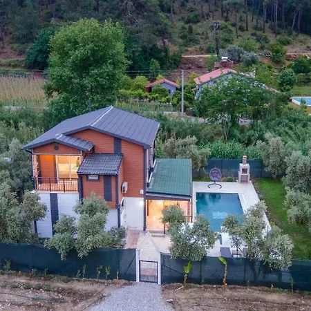 וילה Breathtaking Duplex Close To Inlice With Private Pool And Backyard In Fethiye